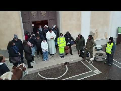 immagine di anteprima del video: Video benedizione animali festa Sant'Antonio Abate Laurenzana...